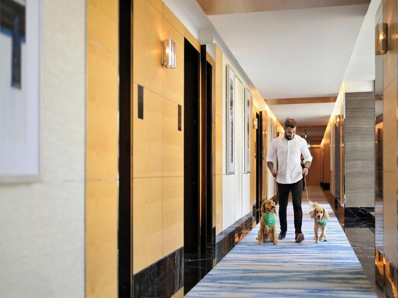 Marriott Resort Palm Jumeirah Dubai image