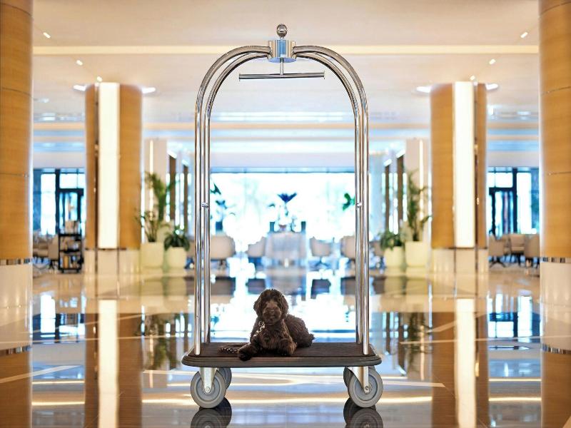 Marriott Resort Palm Jumeirah Dubai image
