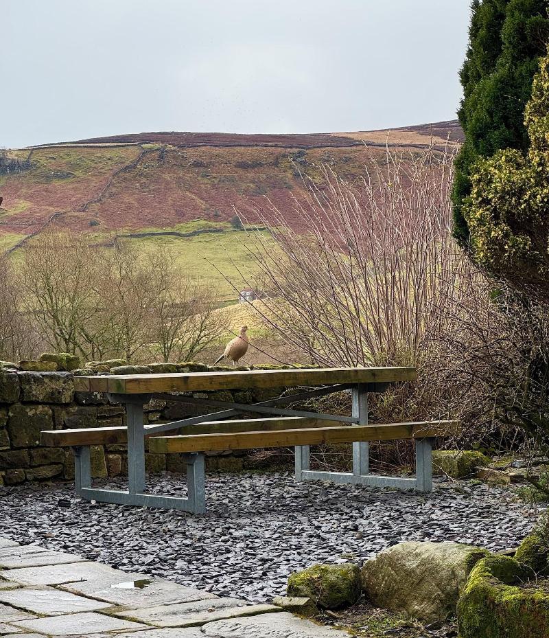 Craven Garth Cottages image