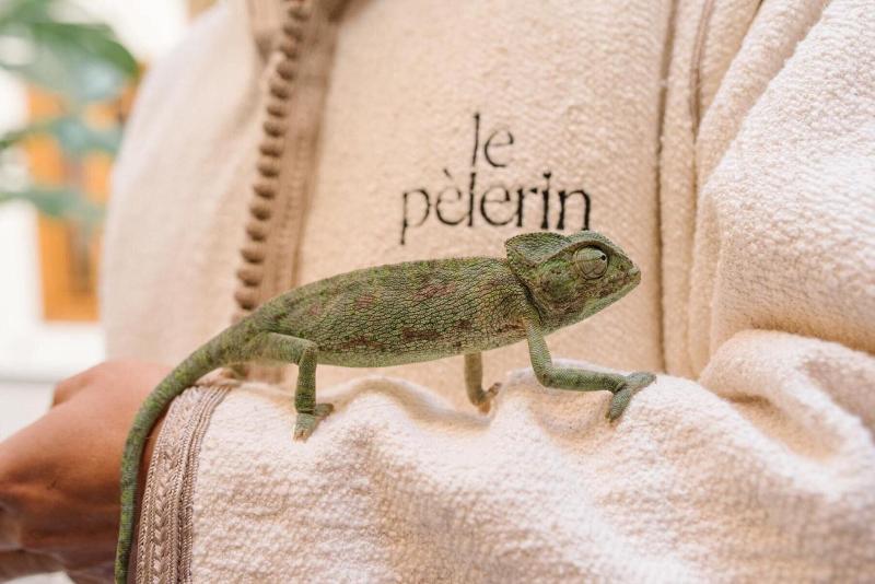Riad Le Pã¨lerin image