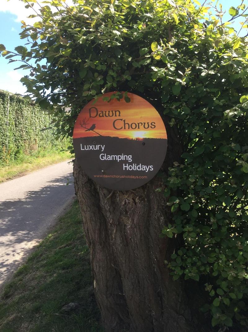 Dawn Chorus Holidays image
