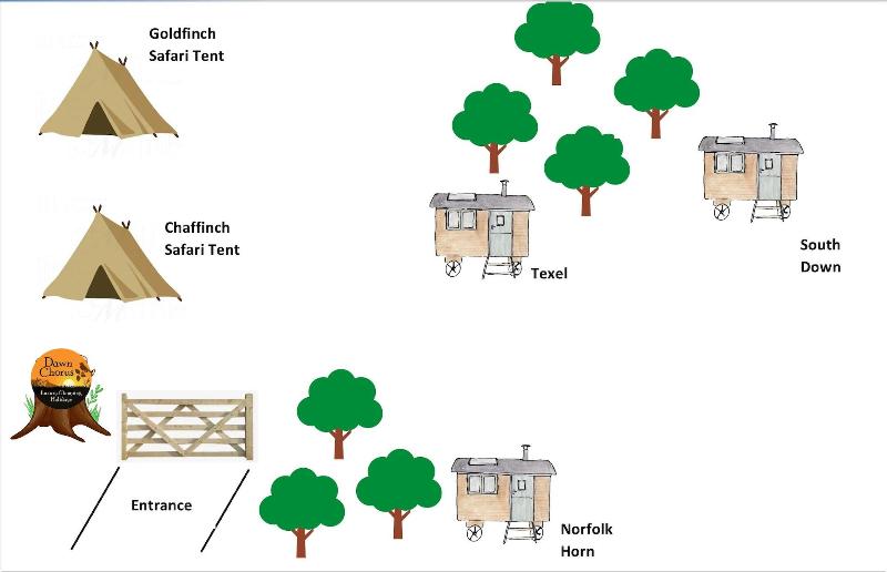 Dawn Chorus Holidays image