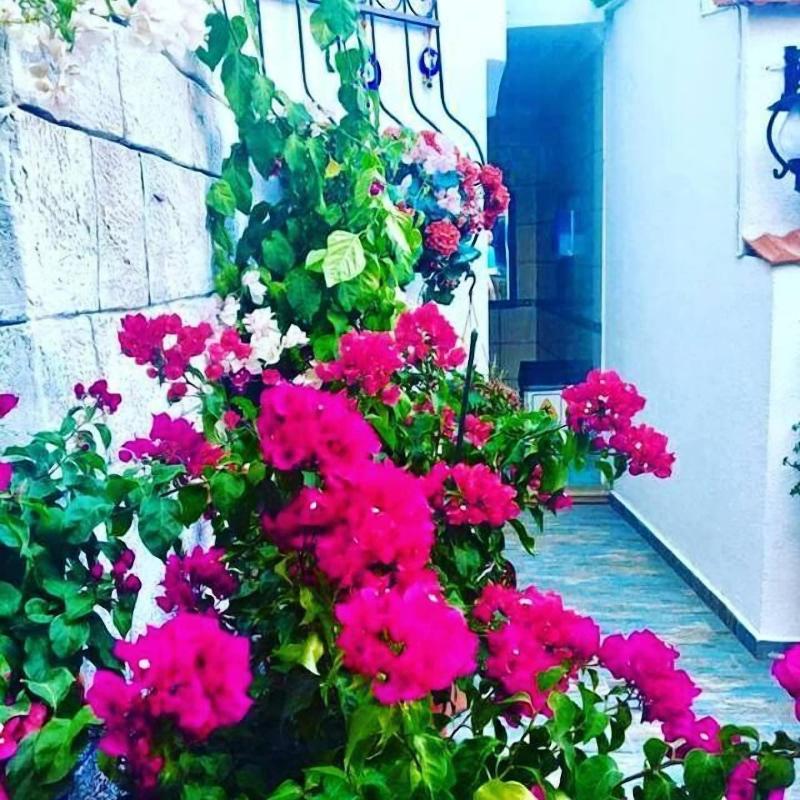 Mai Hotel image