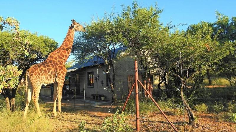 Marulani Bush Lodge image