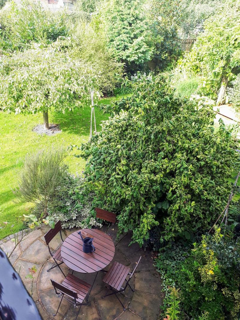 Field View B&b image