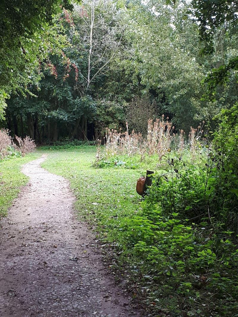 Field View B&b image