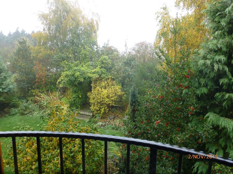 Field View B&b image