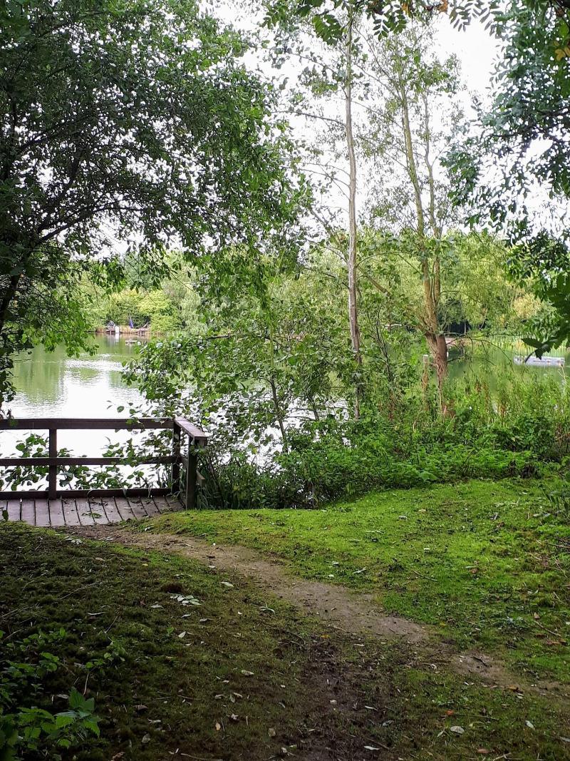Field View B&b image