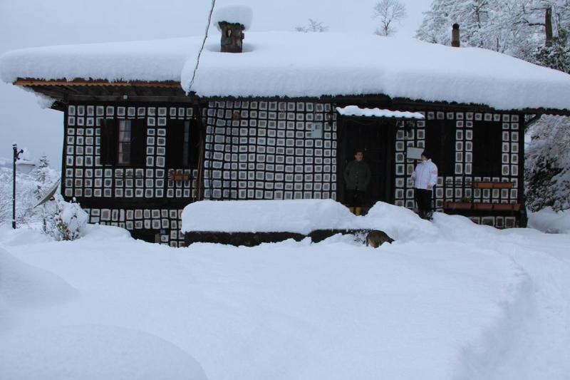 Satiroglu Konagi — general view