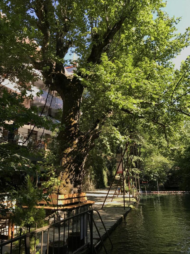 Yuvarlakcay Cinar Butik Otel image