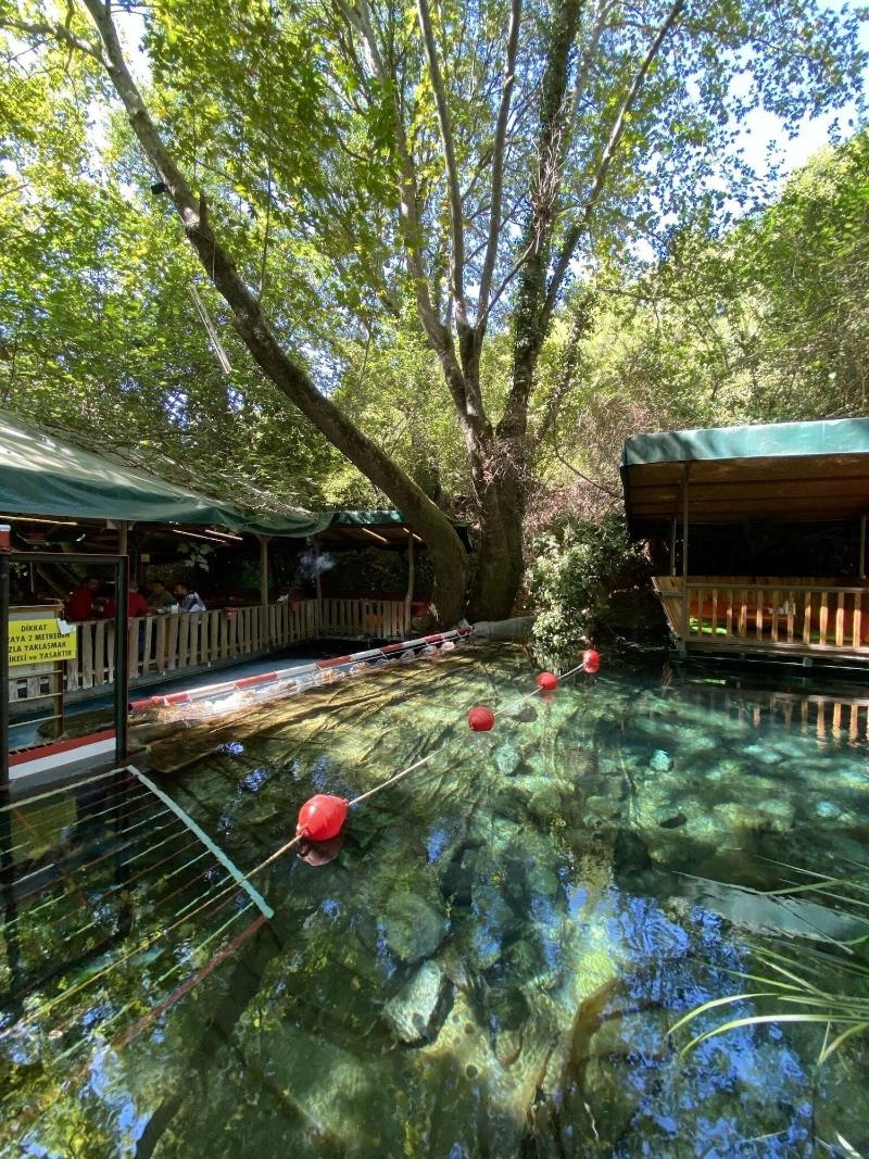 Yuvarlakcay Cinar Butik Otel image