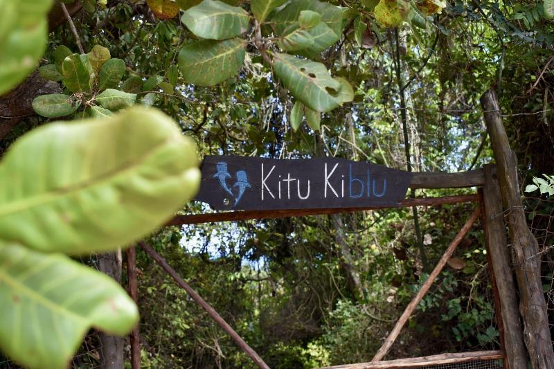 Kitu Kiblu image