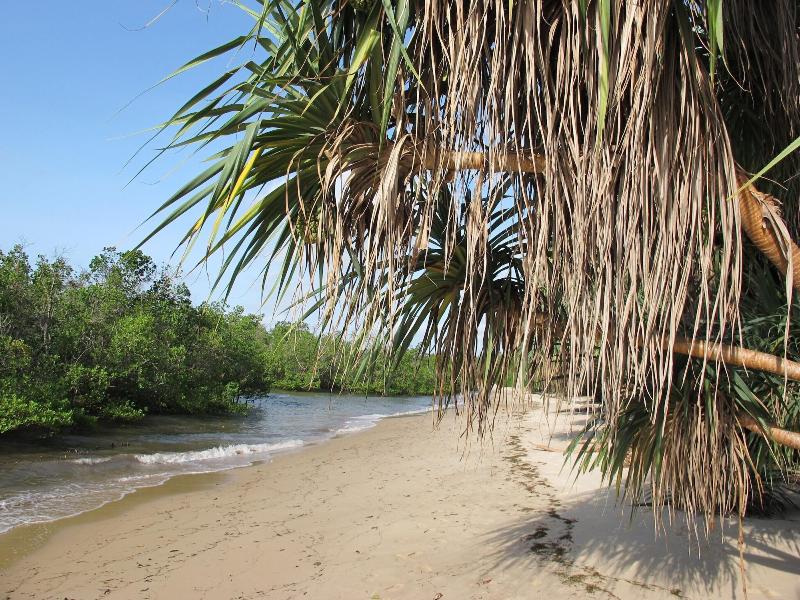 Kitu Kiblu image
