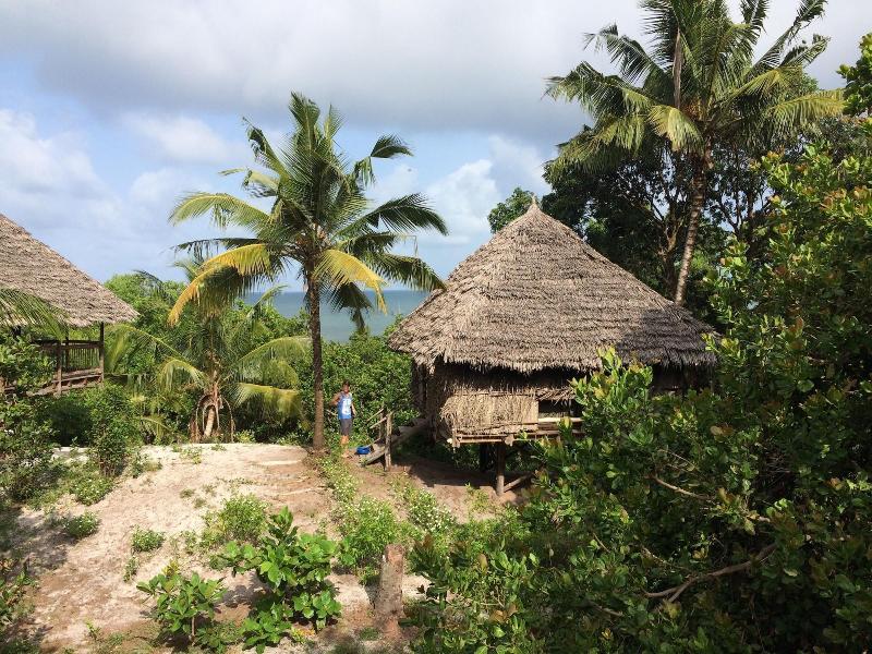 Kitu Kiblu image