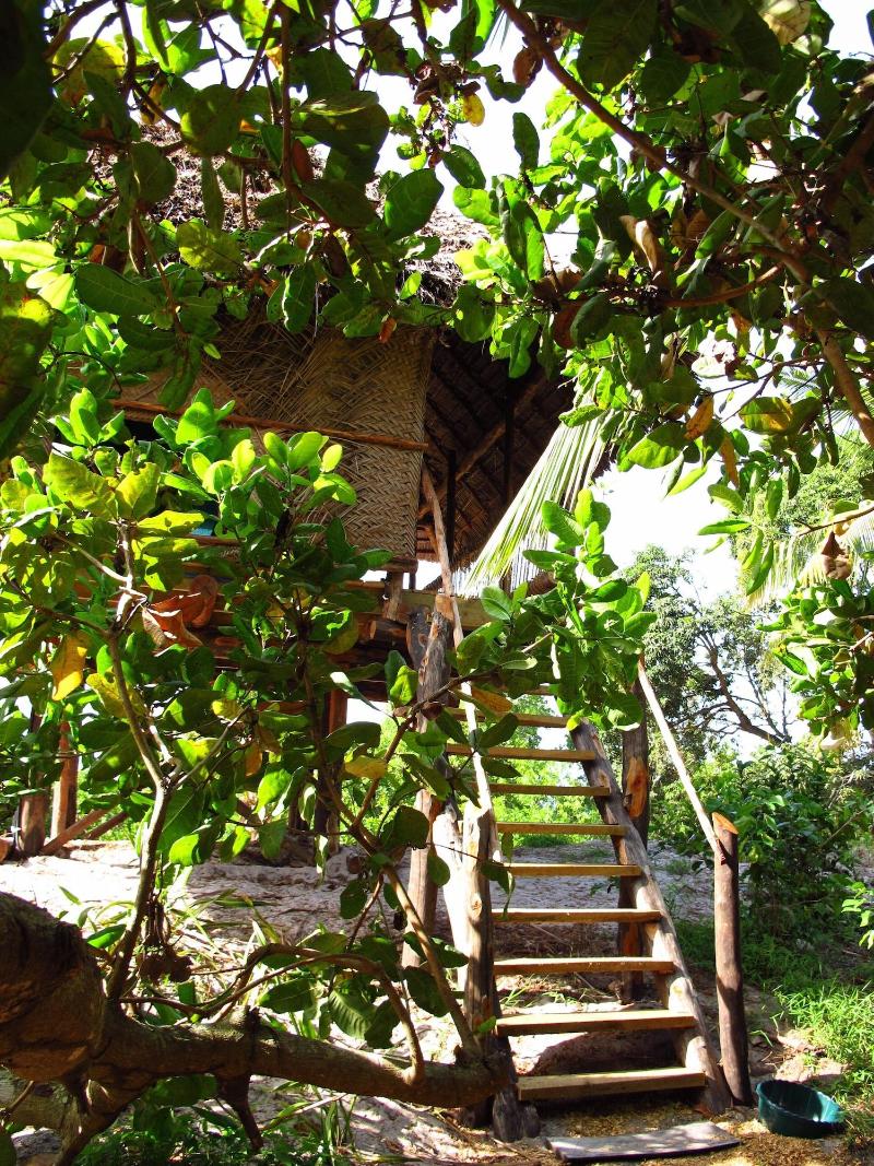 Kitu Kiblu image