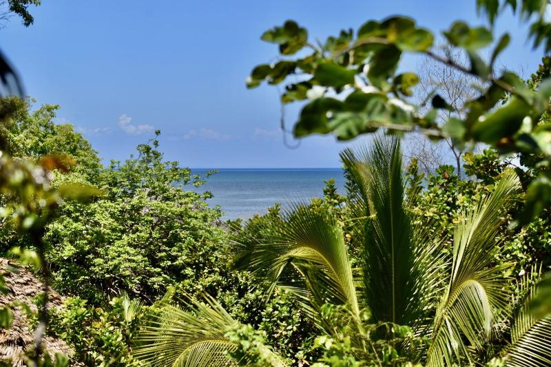 Kitu Kiblu image