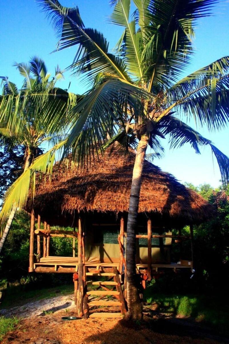 Kitu Kiblu image