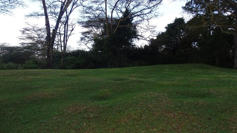 Storms Resort Nanyuki image