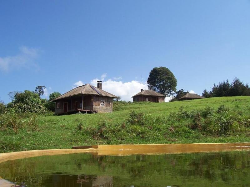 Castle Forest Lodge image