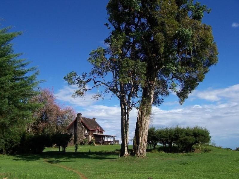 Castle Forest Lodge image
