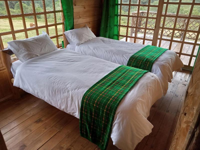 Castle Forest Lodge image