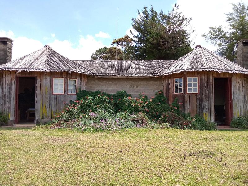 Castle Forest Lodge image