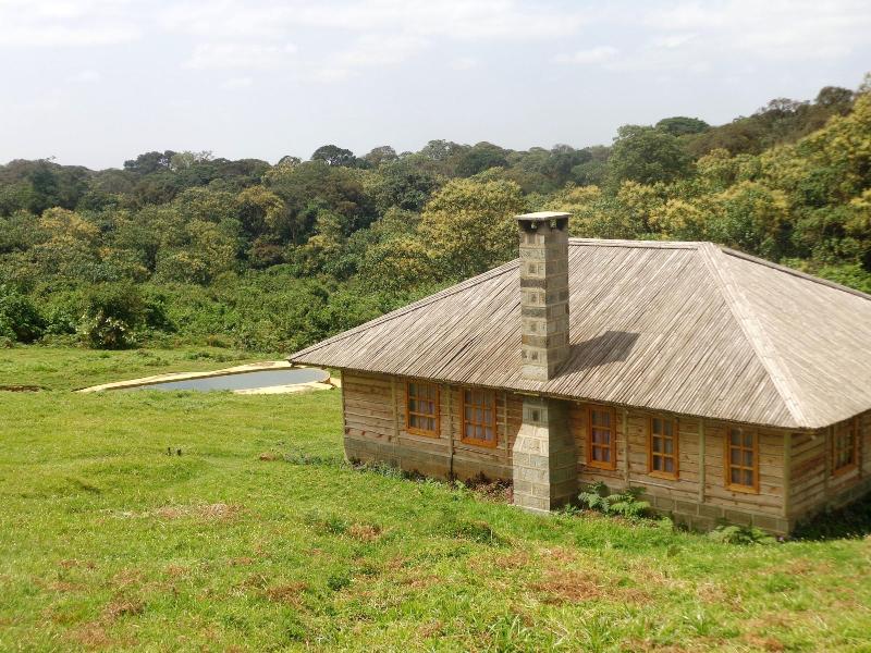 Castle Forest Lodge image