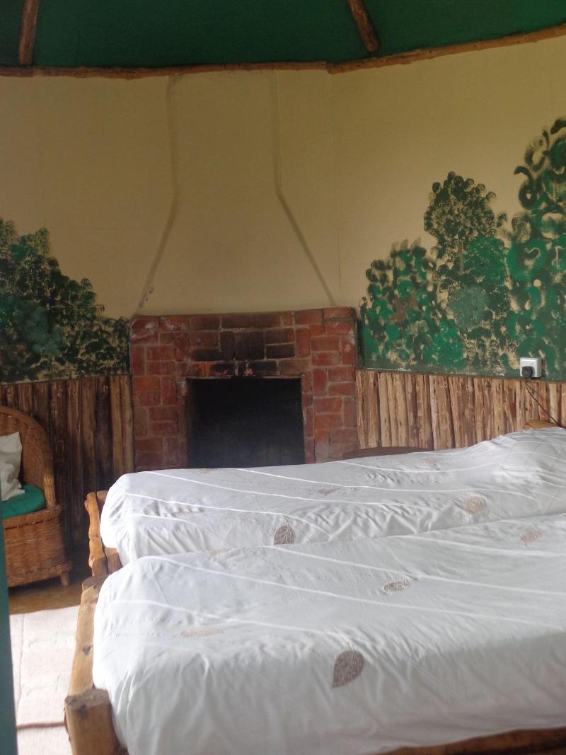 Castle Forest Lodge image