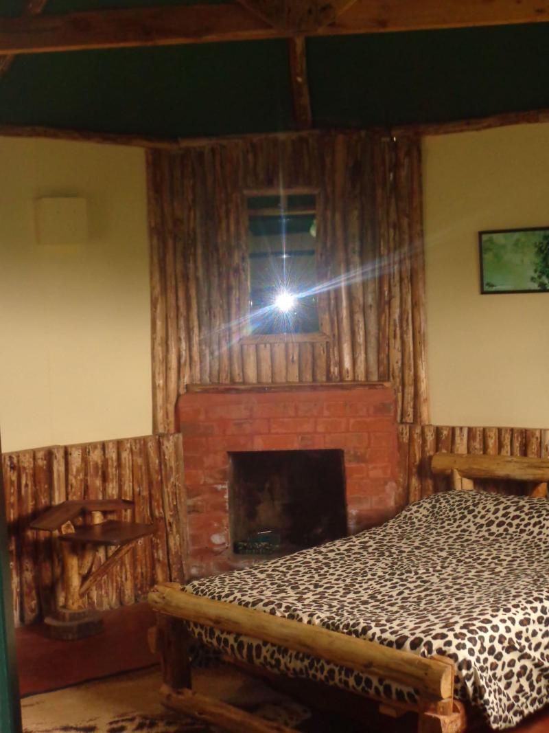 Castle Forest Lodge image