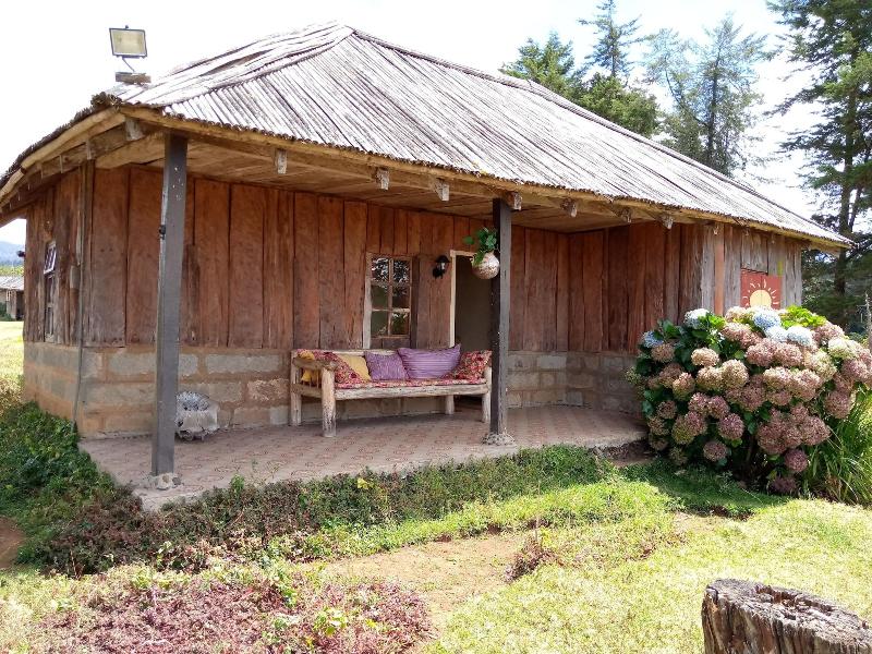 Castle Forest Lodge image