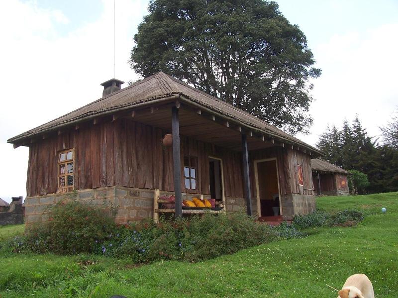 Castle Forest Lodge image