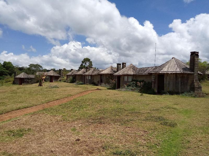 Castle Forest Lodge image