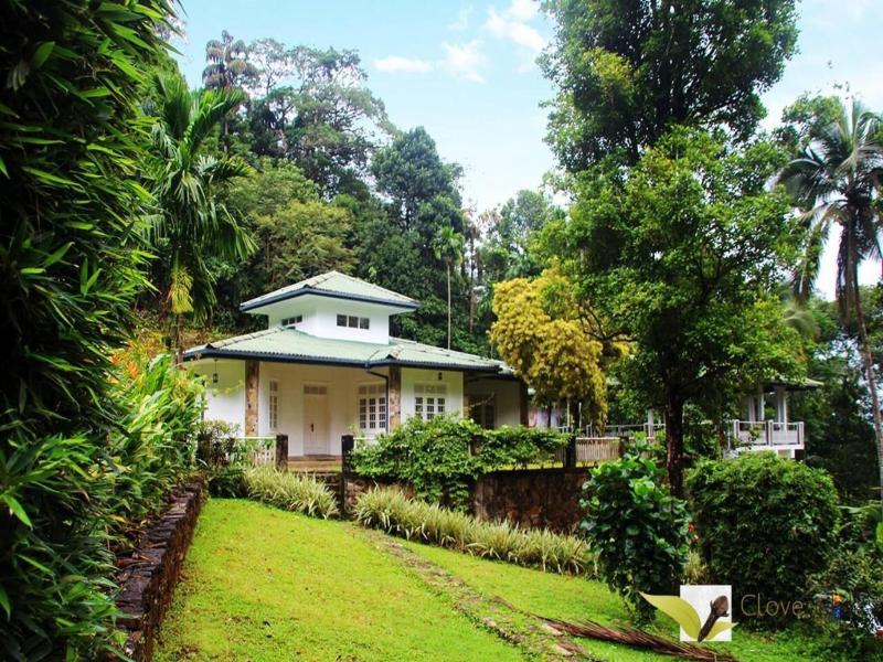 Colvefield Villa