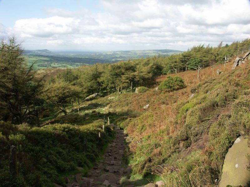 Roaches Cottages — photo 4