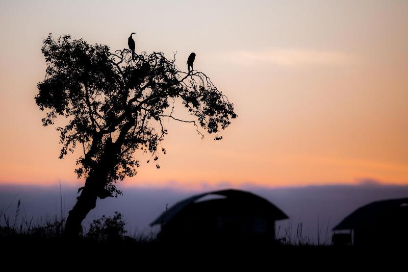 Serondela Lodge image