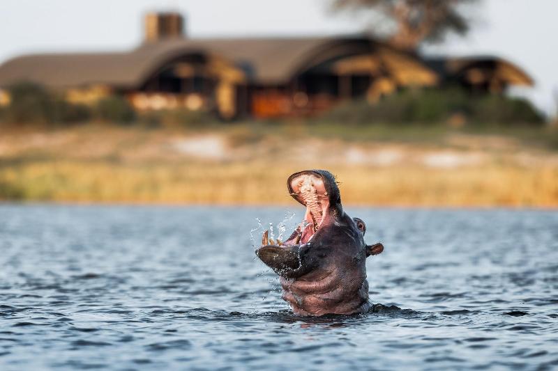 Serondela Lodge image