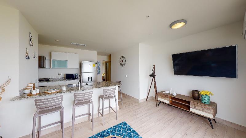 Playa Caracol Vacation Rentals image