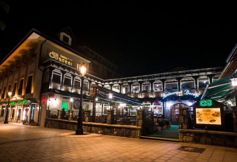 Hotel Bucegi image