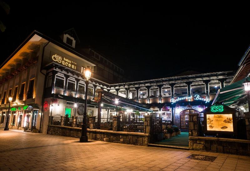 Hotel Bucegi image