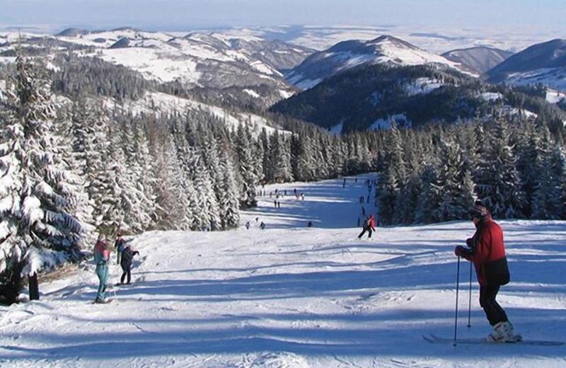 Hotel Bucegi image