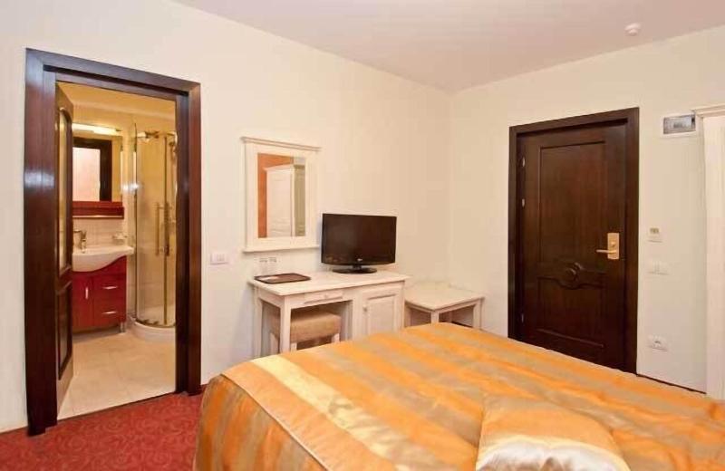 Hotel Bucegi image