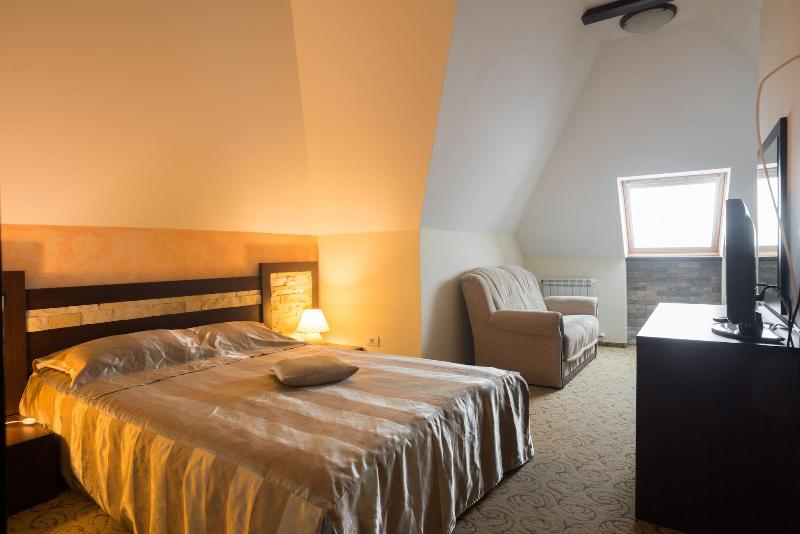 Hotel Bucegi image