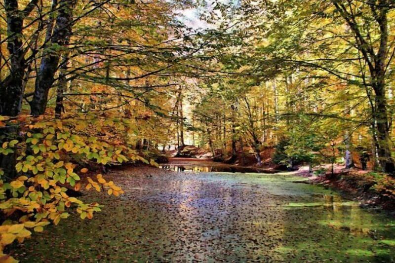 Bolu Grand Koroglu Otel image