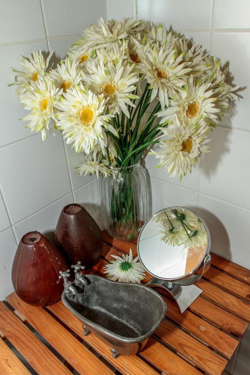 Acorn B&b In Durban image