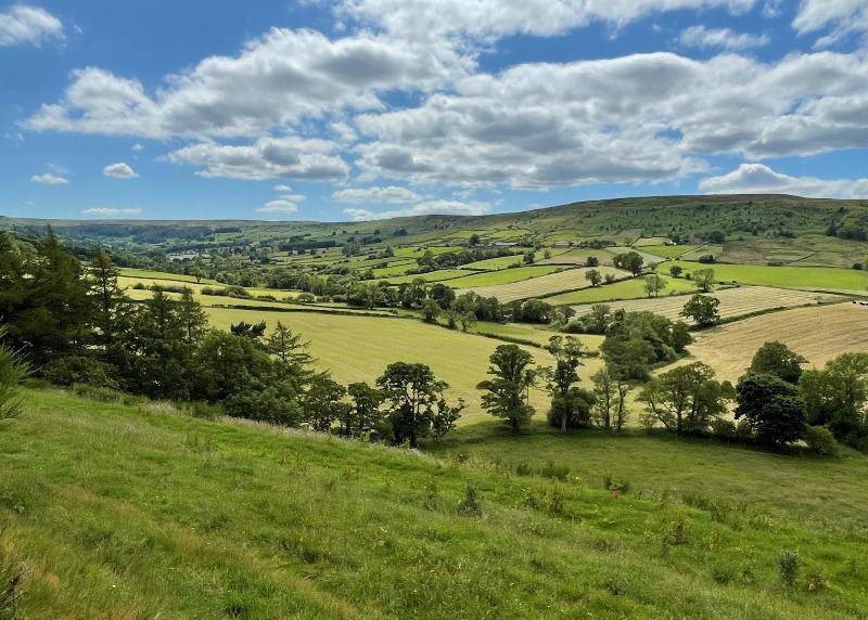 Church House Farm image