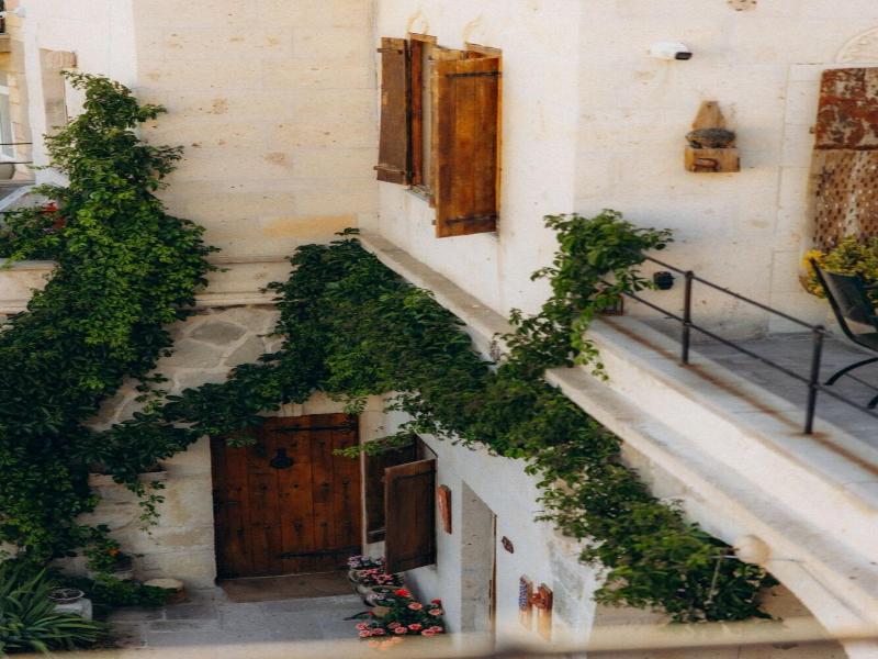 Doda Cave Hotel image