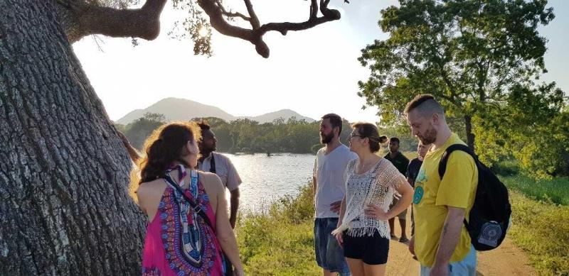 Funky Leopard Safari Lodge Bordering Yala National image