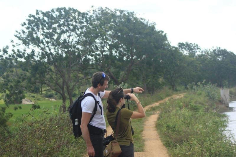 Funky Leopard Safari Lodge Bordering Yala National image