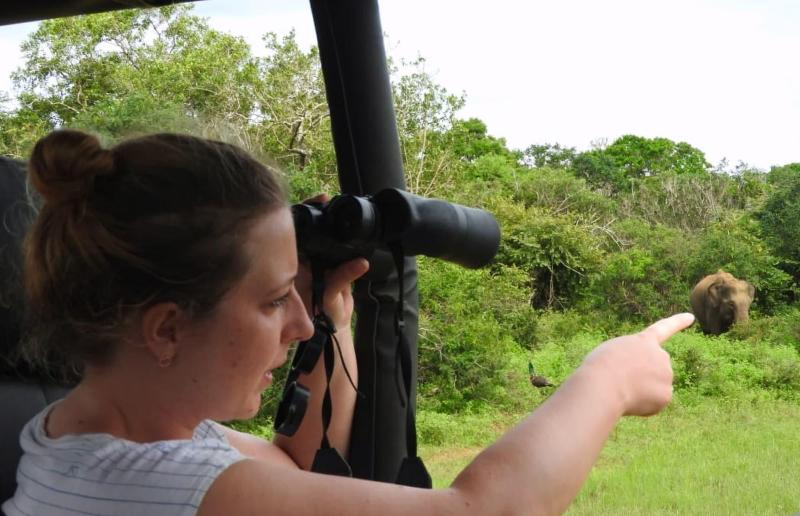 Funky Leopard Safari Lodge Bordering Yala National image