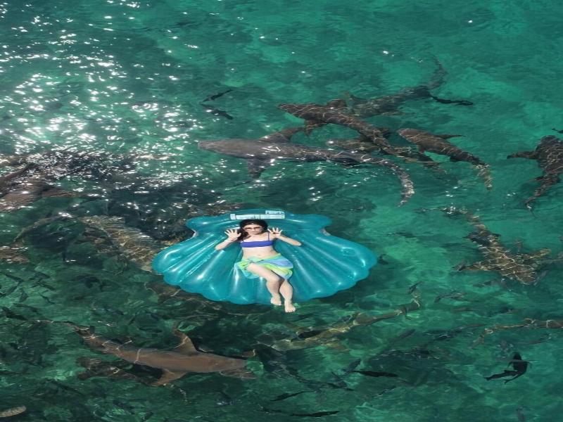 Sky Beach Maldives image